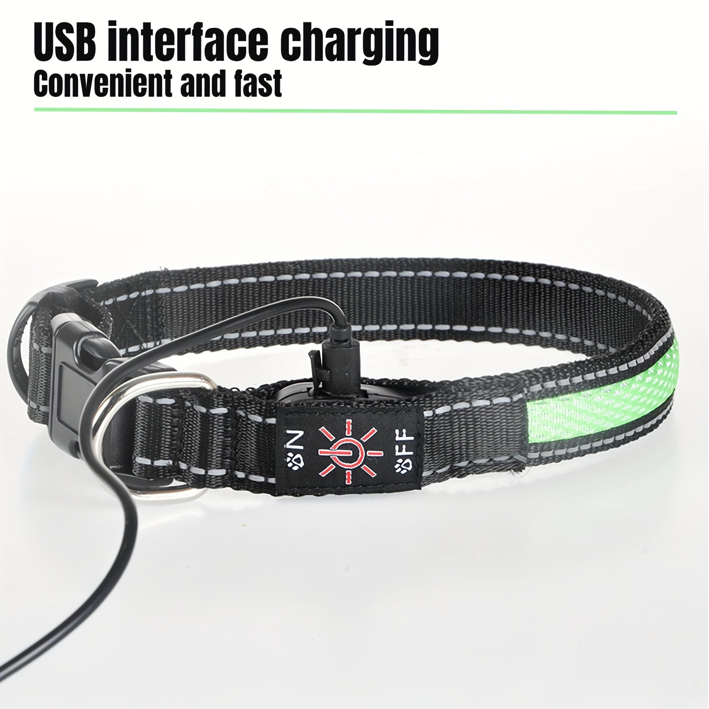 LED Dog Collar luminous USB rechargeable 1pc