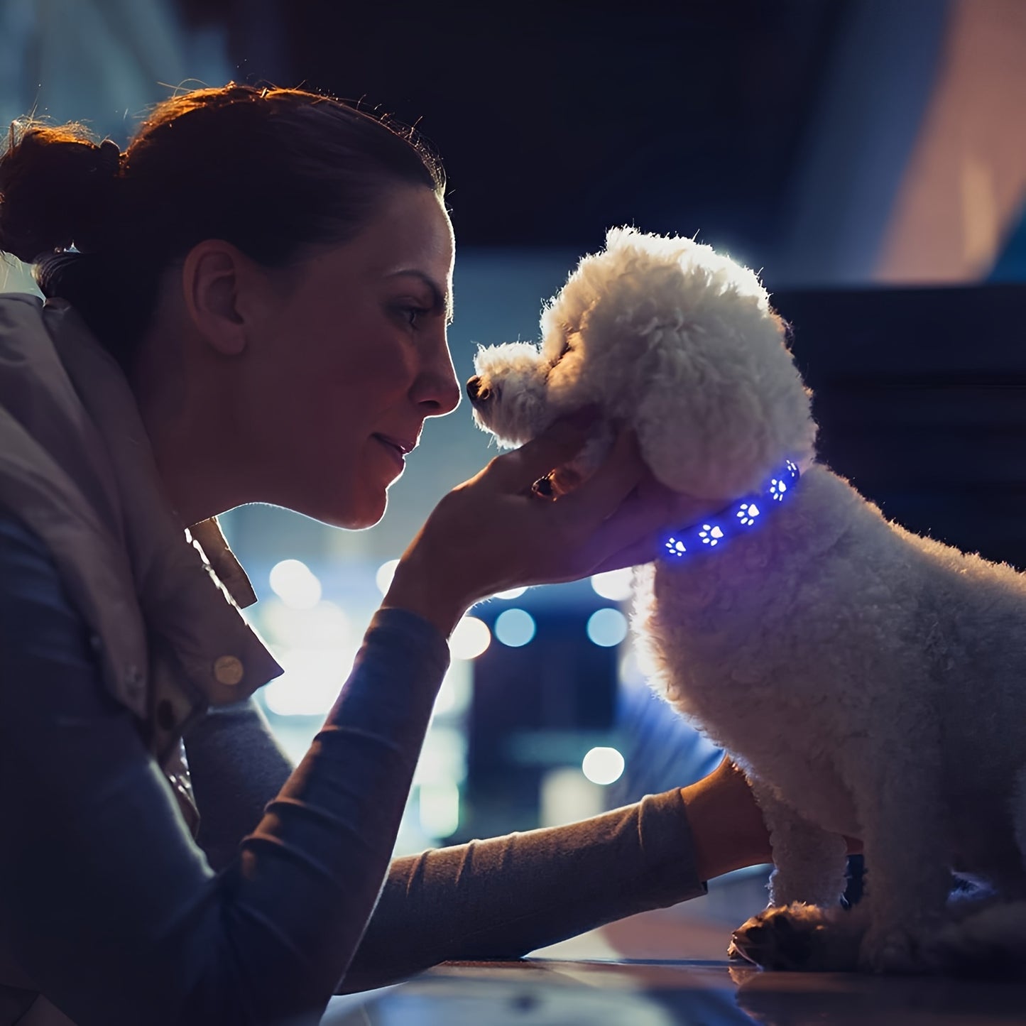 Rechargeable LED Dog Collar