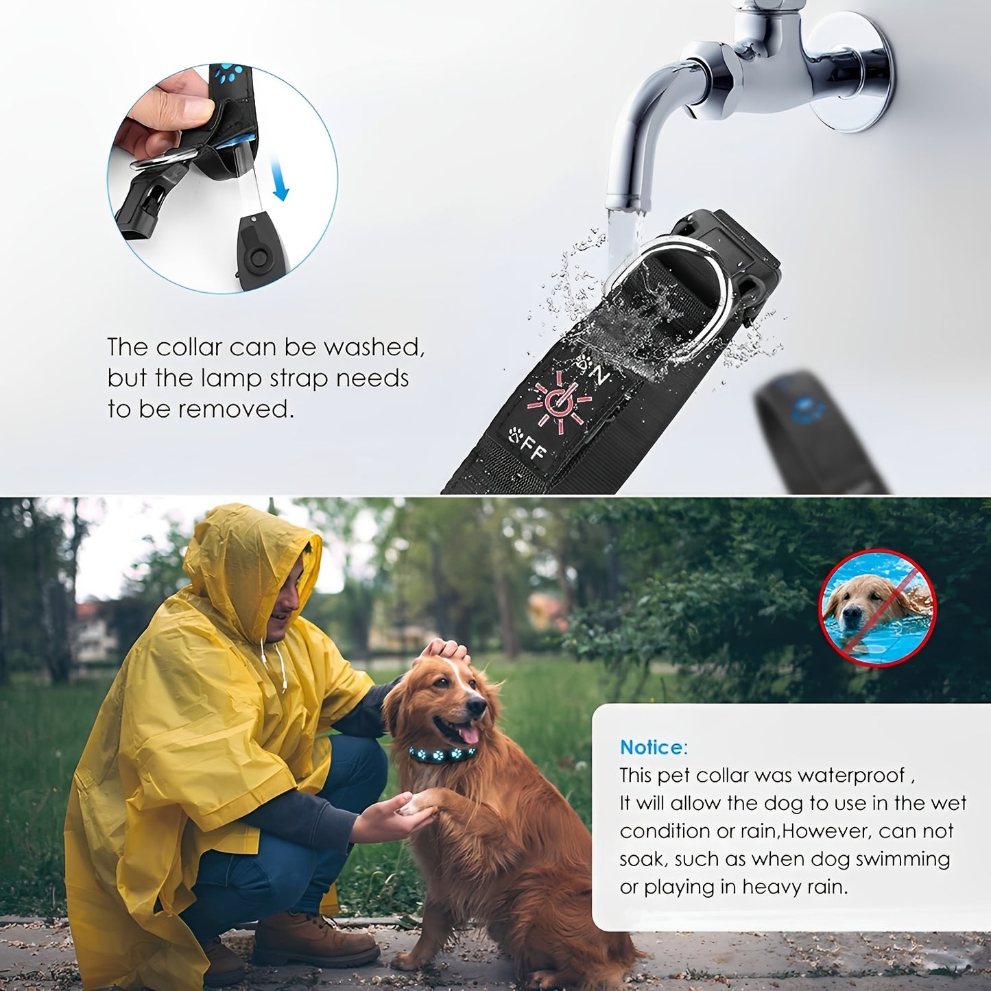 Rechargeable LED Dog Collar