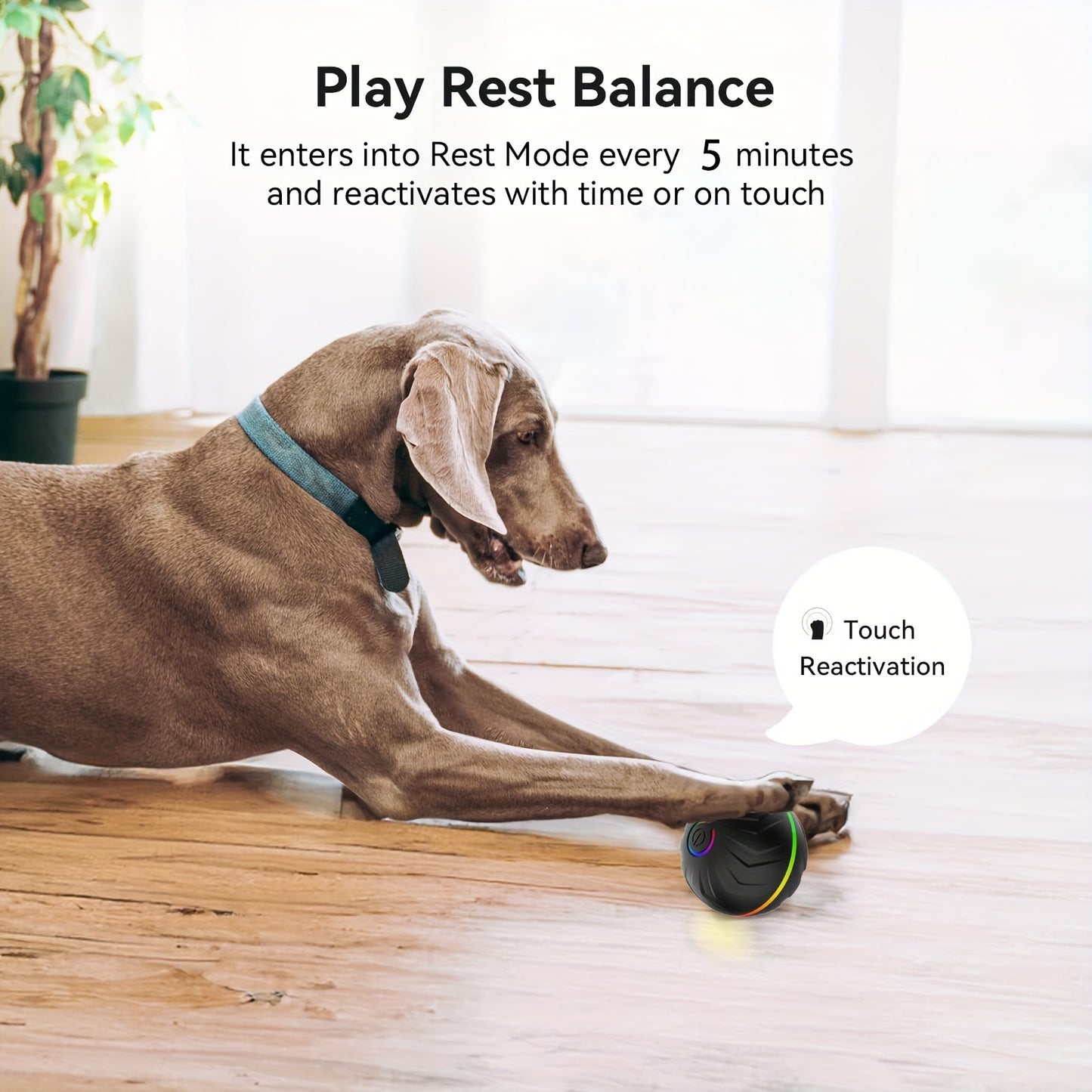 Smart Interactive Dog Ball with Dazzling Rainbow Lights
