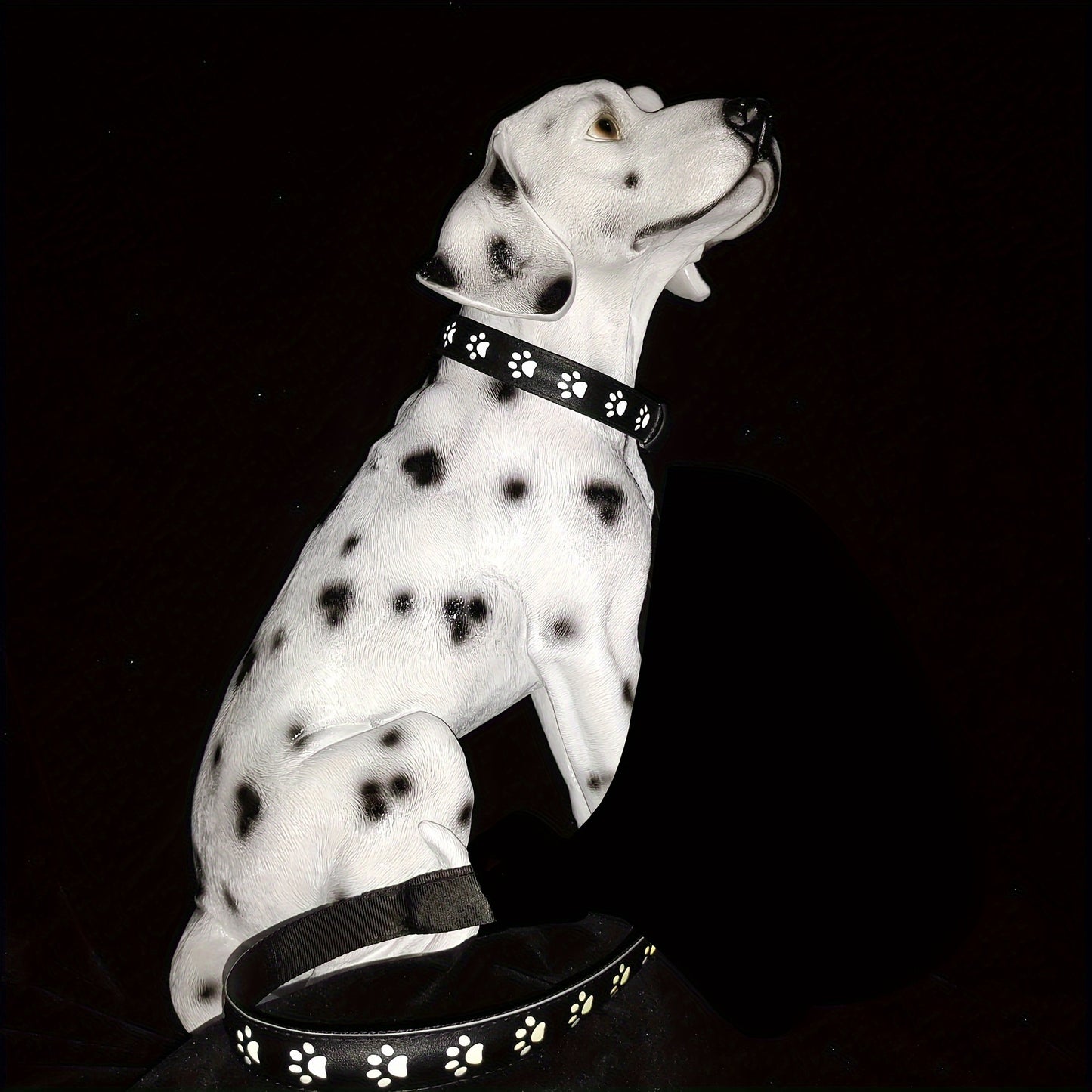 Rechargeable LED Dog Collar