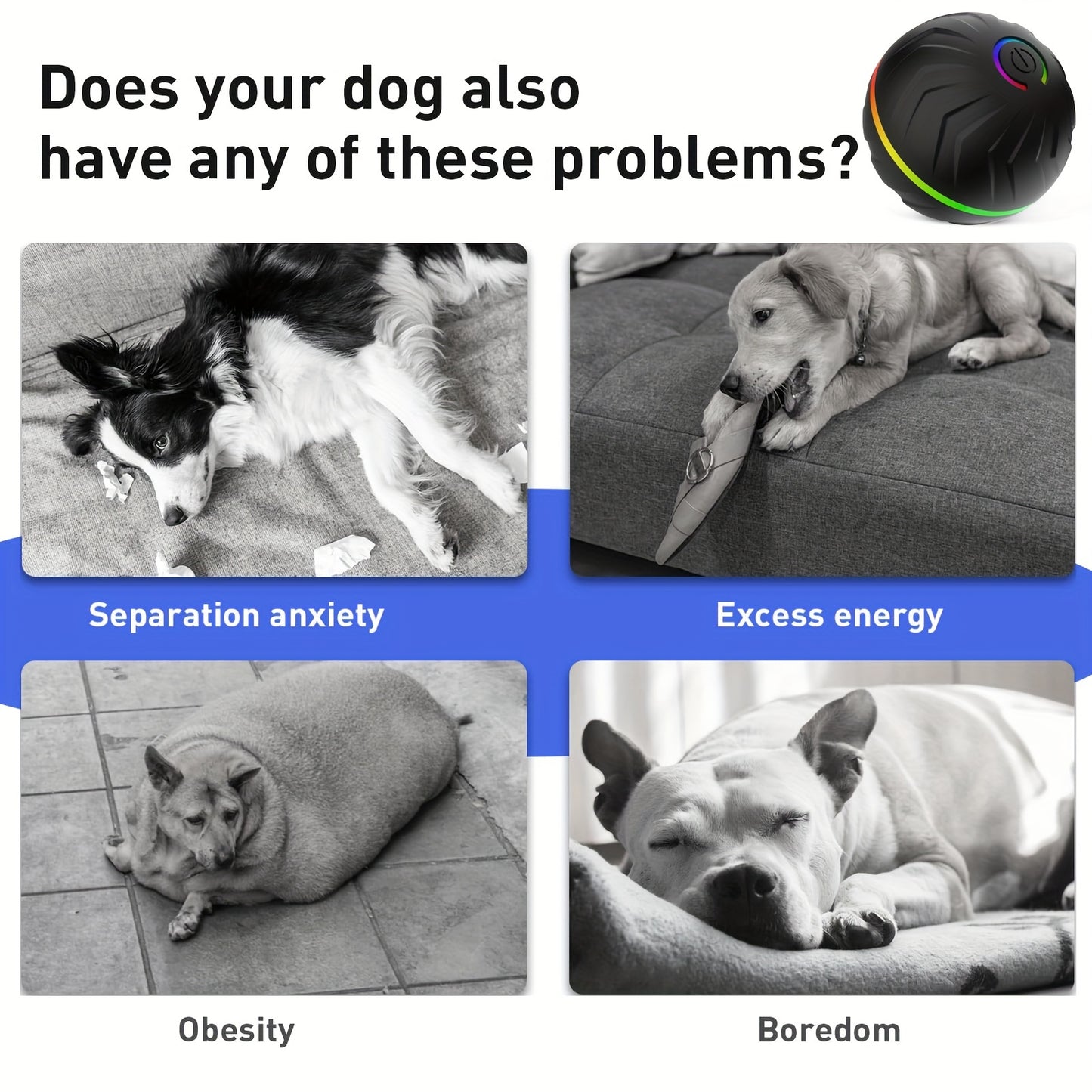 Smart Interactive Dog Ball with Dazzling Rainbow Lights