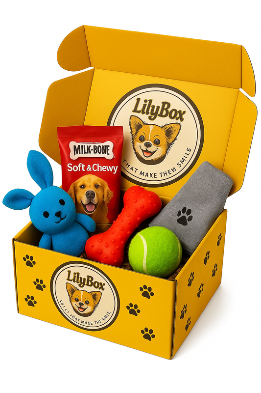 Lily’s Box
